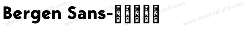 Bergen Sans字体转换